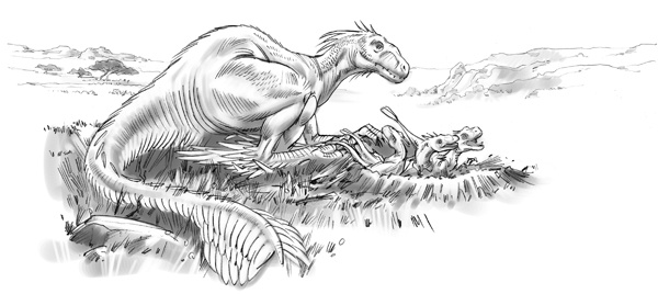 Иллюстрация к книге — Проклятие забытой карты [_102.jpg]