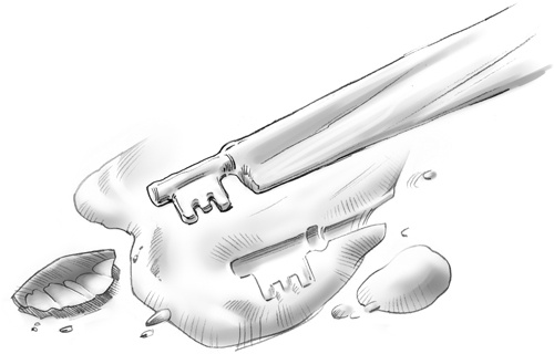 Иллюстрация к книге — Проклятие забытой карты [_213.jpg]