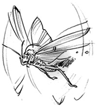 Иллюстрация к книге — Проклятие забытой карты [_301.jpg]