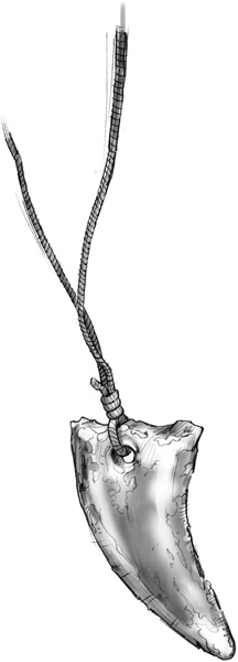 Иллюстрация к книге — Проклятие забытой карты [_322.jpg]