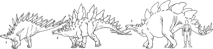 Иллюстрация к книге — Проклятие забытой карты [_340341.jpg]