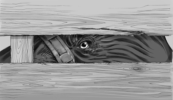 Иллюстрация к книге — Проклятие забытой карты [_45.jpg]