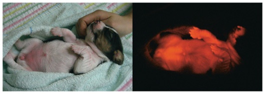 Иллюстрация к книге — Креативный вид. Как стремление к творчеству меняет мир [i_064.jpg]