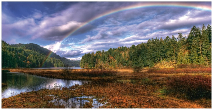 Иллюстрация к книге — Креативный вид. Как стремление к творчеству меняет мир [i_069.jpg]