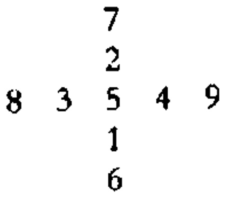 Иллюстрация к книге — Психэ и материя [i_014.jpg]