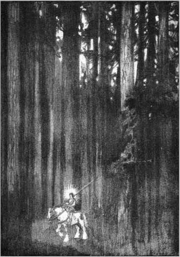 Иллюстрация к книге — Роман о Граале. Магия и тайна мифа о короле Артуре [i_020.jpg]