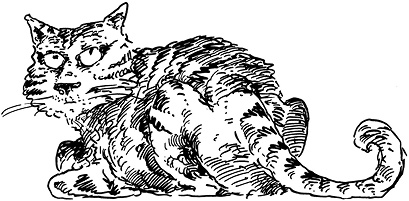 Иллюстрация к книге — Бесстрашная Игрэйн [i_007.jpg]