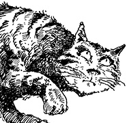 Иллюстрация к книге — Бесстрашная Игрэйн [i_038.jpg]