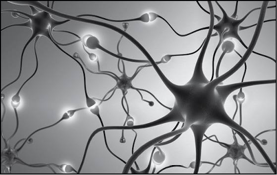 Иллюстрация к книге — Безумие ли? Как психиатры выставляют диагноз? [i_038.jpg]