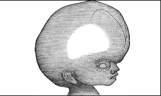 Иллюстрация к книге — Безумие ли? Как психиатры выставляют диагноз? [i_067.jpg]