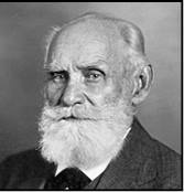 Иллюстрация к книге — Безумие ли? Как психиатры выставляют диагноз? [i_087.jpg]