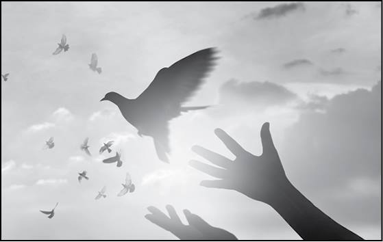 Иллюстрация к книге — Безумие ли? Как психиатры выставляют диагноз? [i_095.jpg]