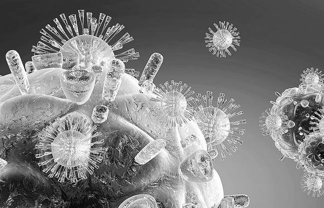 Иллюстрация к книге — Как работает иммунитет [i_001.jpg]