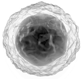 Иллюстрация к книге — Как работает иммунитет [i_009.jpg]