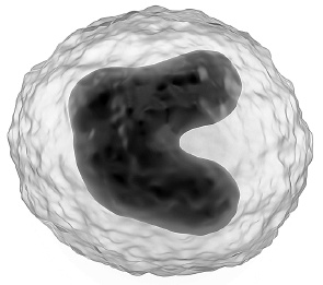 Иллюстрация к книге — Как работает иммунитет [i_010.jpg]