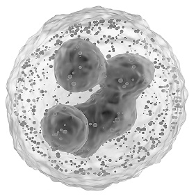 Иллюстрация к книге — Как работает иммунитет [i_011.jpg]