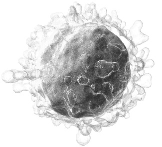 Иллюстрация к книге — Как работает иммунитет [i_013.jpg]