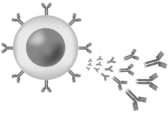 Иллюстрация к книге — Как работает иммунитет [i_014.jpg]