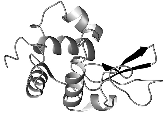 Иллюстрация к книге — Как работает иммунитет [i_018.jpg]
