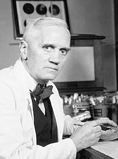 Иллюстрация к книге — Как работает иммунитет [i_019.jpg]