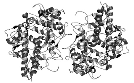 Иллюстрация к книге — Как работает иммунитет [i_020.jpg]