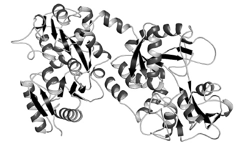 Иллюстрация к книге — Как работает иммунитет [i_021.jpg]