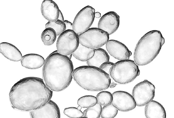 Иллюстрация к книге — Как работает иммунитет [i_038.jpg]