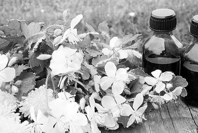 Иллюстрация к книге — Как работает иммунитет [i_072.jpg]