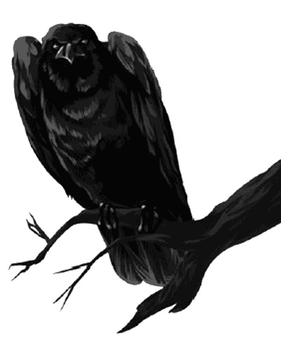 Иллюстрация к книге — Осколки Сампо  [i_001.jpg]