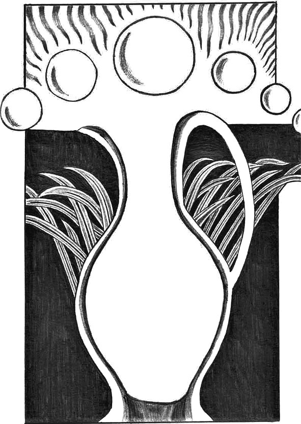 Иллюстрация к книге — Неосфера 2053. Эпоха после блокчейн  [i_019.jpg]