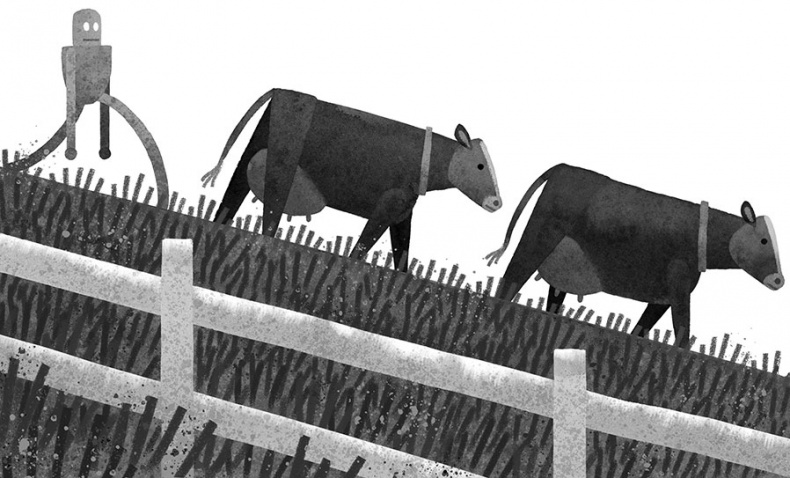 Иллюстрация к книге — Спасение дикого робота  [i_009.jpg]