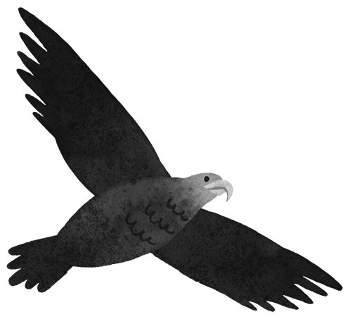 Иллюстрация к книге — Спасение дикого робота  [i_013.jpg]