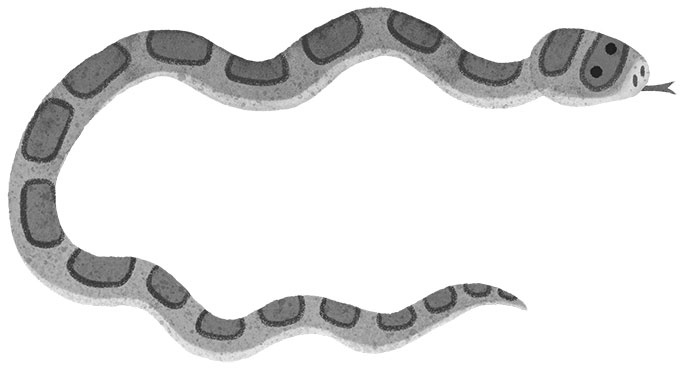 Иллюстрация к книге — Спасение дикого робота  [i_015.jpg]