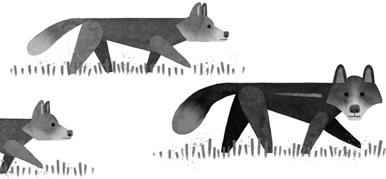 Иллюстрация к книге — Спасение дикого робота  [i_016.jpg]