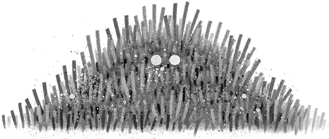 Иллюстрация к книге — Спасение дикого робота  [i_017.jpg]