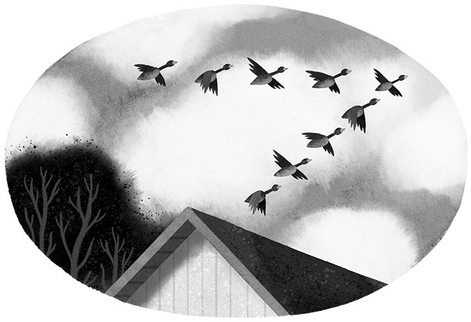 Иллюстрация к книге — Спасение дикого робота  [i_022.jpg]