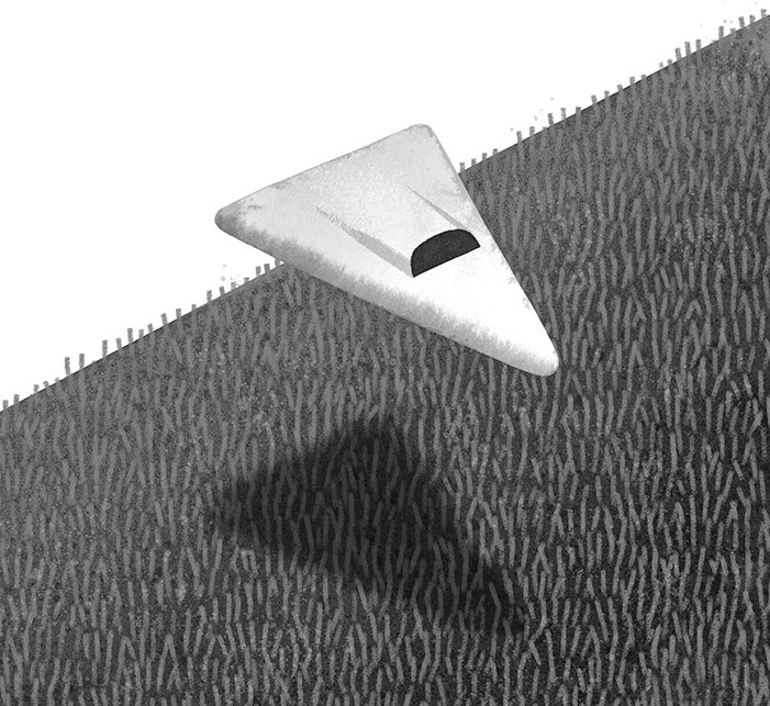 Иллюстрация к книге — Спасение дикого робота  [i_032.jpg]