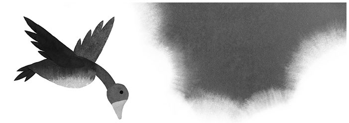 Иллюстрация к книге — Спасение дикого робота  [i_033.jpg]