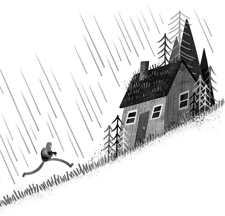 Иллюстрация к книге — Спасение дикого робота  [i_036.jpg]