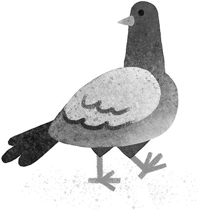 Иллюстрация к книге — Спасение дикого робота  [i_044.jpg]