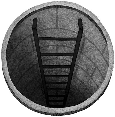 Иллюстрация к книге — Спасение дикого робота  [i_046.jpg]