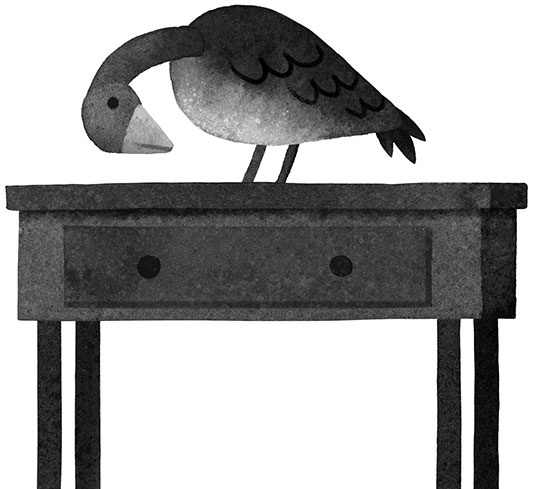 Иллюстрация к книге — Спасение дикого робота  [i_053.jpg]