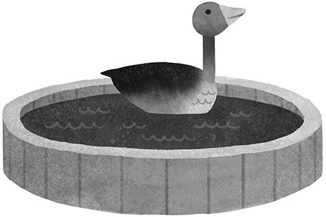 Иллюстрация к книге — Спасение дикого робота  [i_054.jpg]