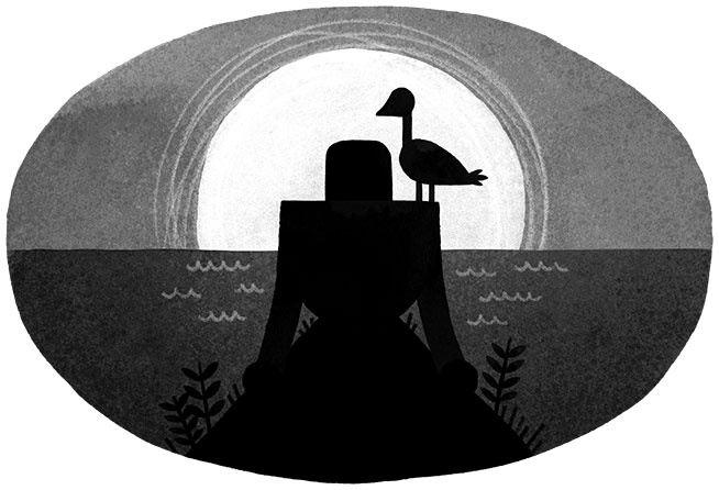 Иллюстрация к книге — Спасение дикого робота  [i_058.jpg]