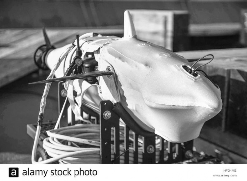 Иллюстрация к книге — 8 пророчеств Стивена Хокинга [_15.jpg]