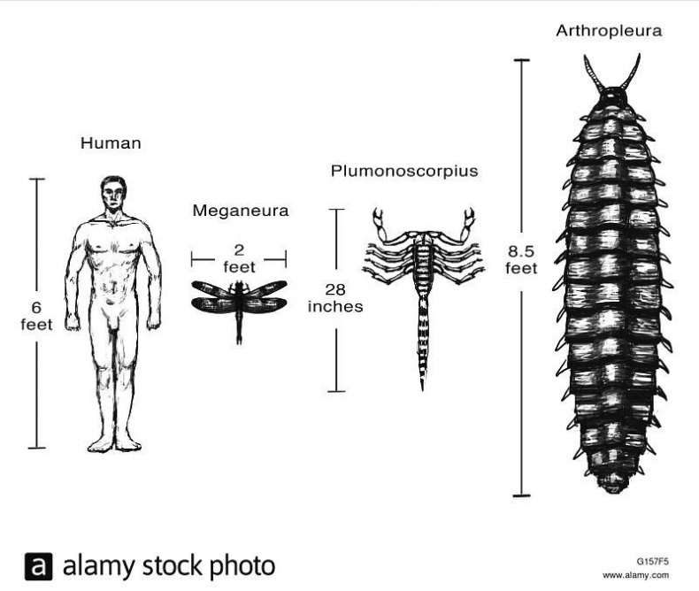 Иллюстрация к книге — 8 пророчеств Стивена Хокинга [_23.jpg]