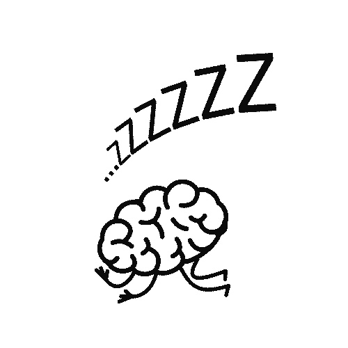 Иллюстрация к книге — Уход за мозгом [i_001.jpg]