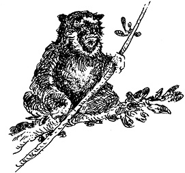 Иллюстрация к книге — Повелитель драконов. Перо грифона  [i_009.jpg]