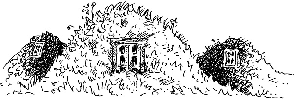 Иллюстрация к книге — Повелитель драконов. Перо грифона  [i_010.jpg]