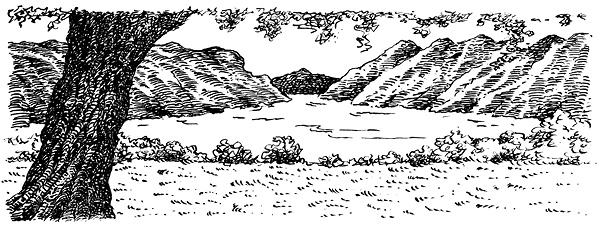 Иллюстрация к книге — Повелитель драконов. Перо грифона  [i_011.jpg]